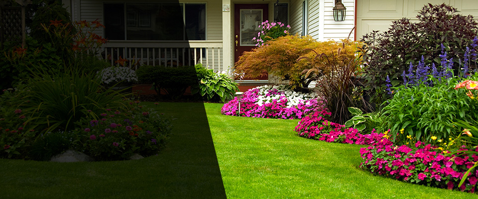 Sparta Landscapers